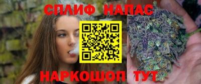 стафф Краснодар