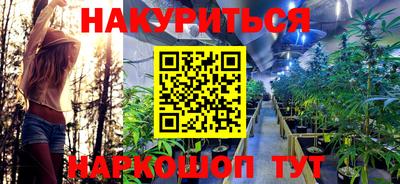 стафф Краснодар