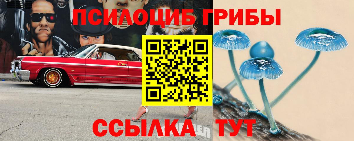 Каменка  Галлюциногенные грибы мицелий  Псилоцибиновые грибы GOLDEN TEACHER  Вход с VPN 