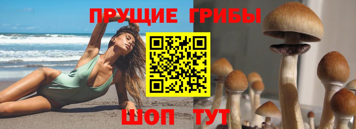 Псилоцибиновые грибы мухоморы Каменка